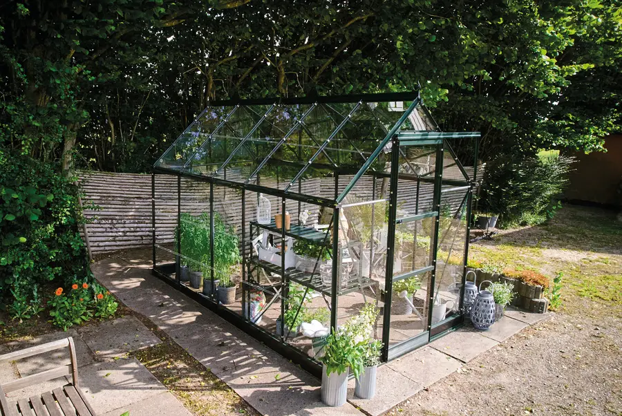 ICON 6 · 6.1 m² (6' x 10') Grün mit 3 mm Blankglas